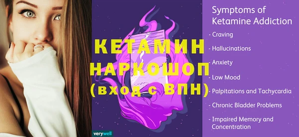 сатива Аркадак