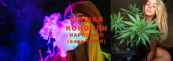 сатива Аркадак