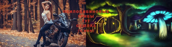 mdpv Армянск