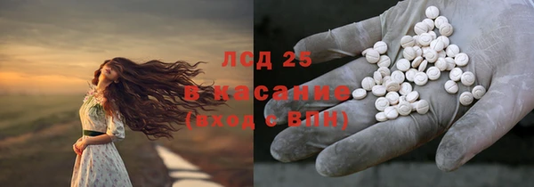 сатива Аркадак