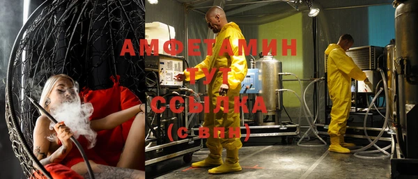 сатива Аркадак