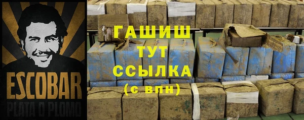 сатива Аркадак