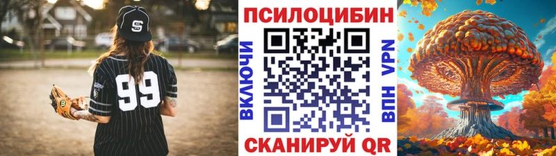 Псилоцибиновые грибы Psilocybe  Дыгулыбгей 